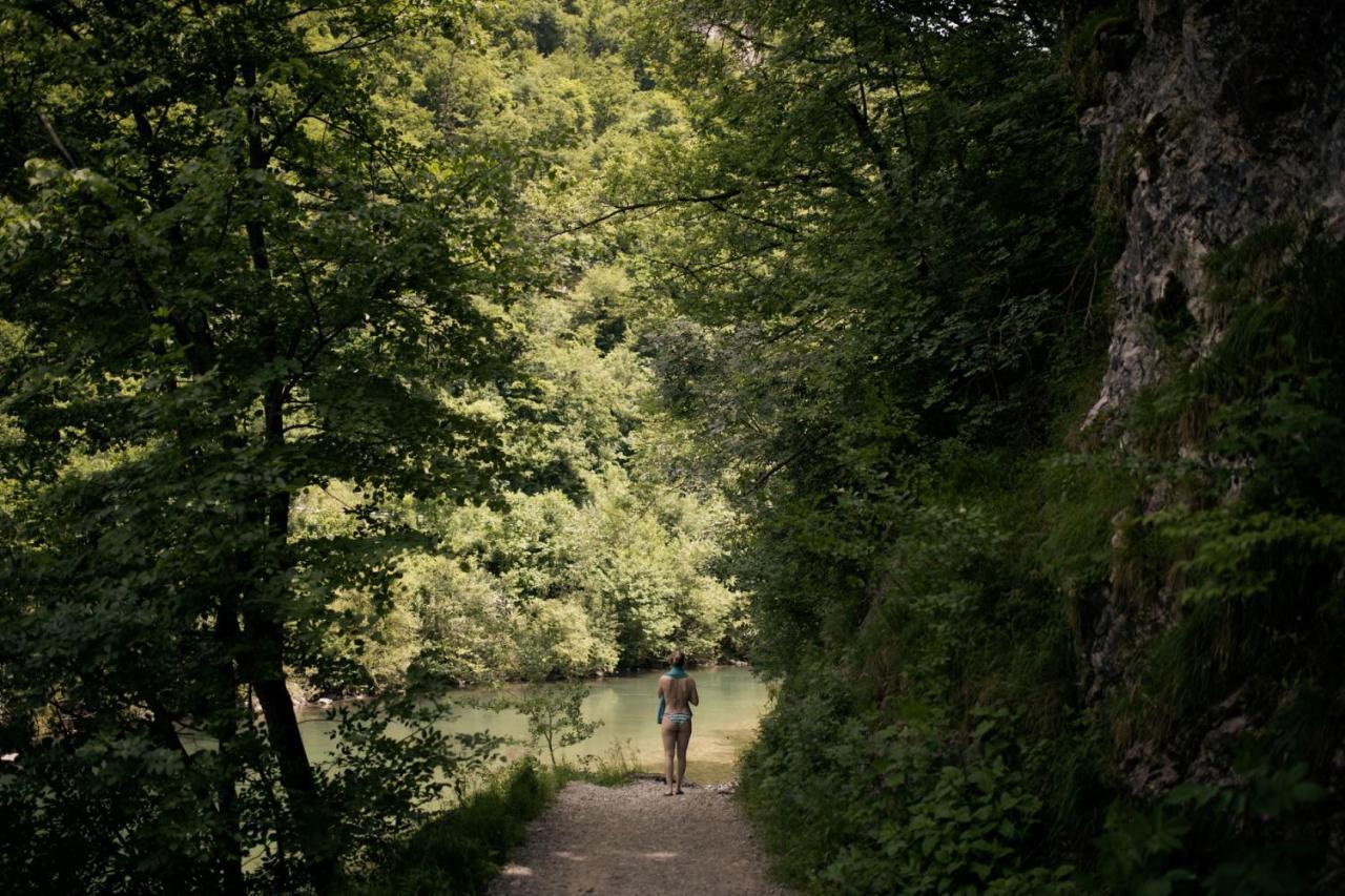 Forest Camping Mozirje Eksteriør billede