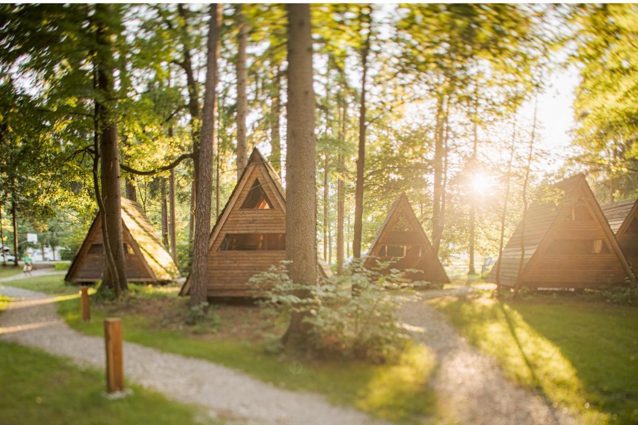 Forest Camping Mozirje Eksteriør billede