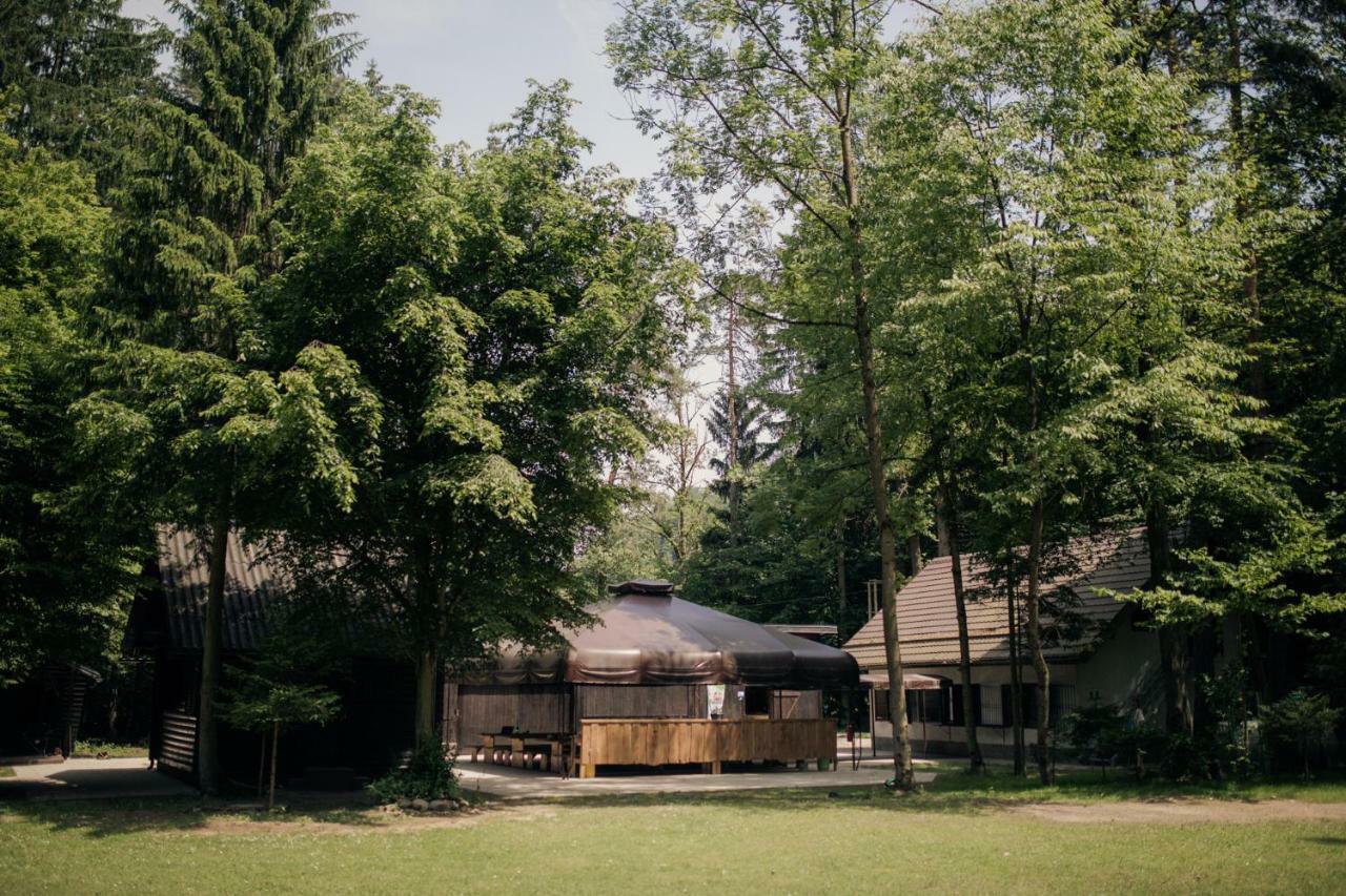 Forest Camping Mozirje Eksteriør billede