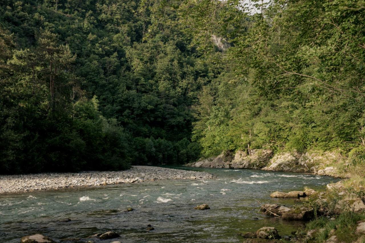 Forest Camping Mozirje Eksteriør billede