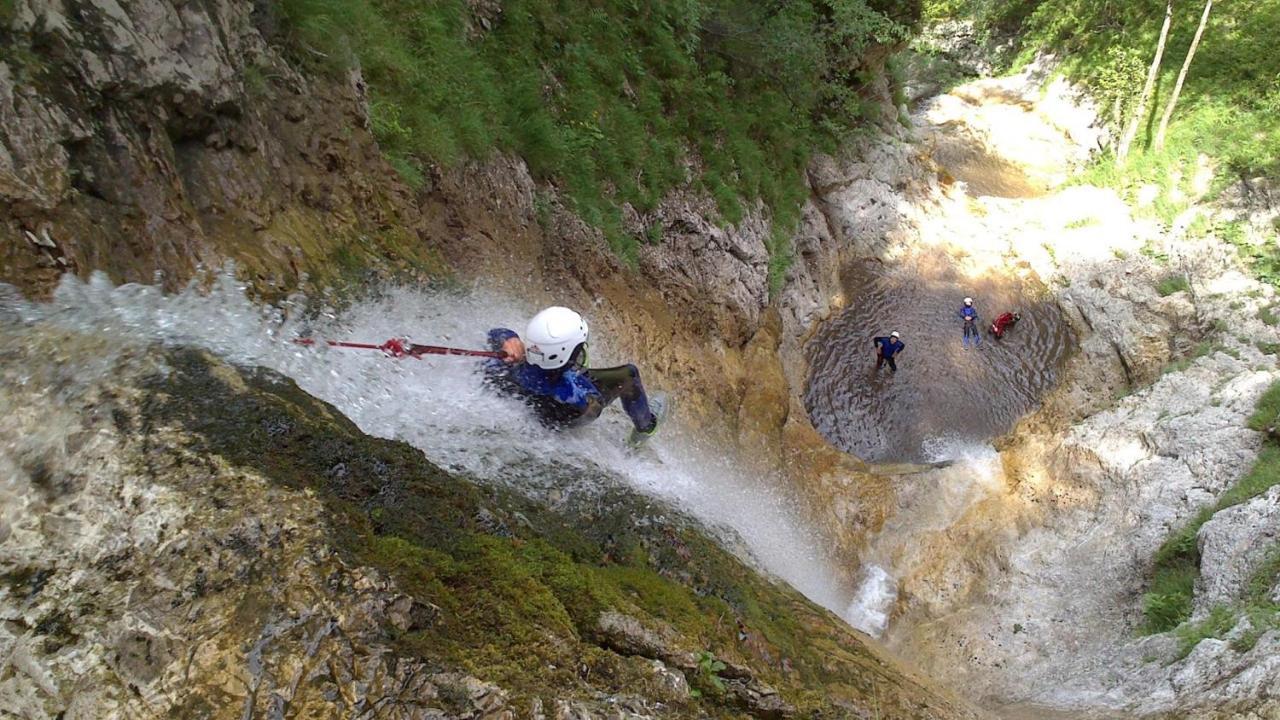 Forest Camping Mozirje Eksteriør billede